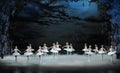 Moonlight night-The last scene of Swan Lake-ballet Swan Lake