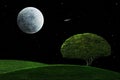 Moonlight Night With Solitary Tree Royalty Free Stock Photo