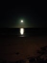 Moonlight ocean night reflection Sunderland