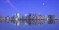 Moonlight over Manhattan Royalty Free Stock Photo