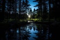 moonlight reflecting on a calm forest pond