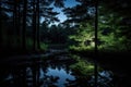 moonlight reflecting on a calm forest pond