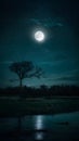 Moonlight reveals natures beauty in the dark sky