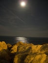 Moonlight sea night Royalty Free Stock Photo