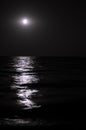 Moonlight on the sea waves. Night Moon. Long exposure Royalty Free Stock Photo