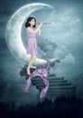 Moonlight Sonata Royalty Free Stock Photo