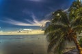 Moonlight Stars Clouds Night  Coconut Palm Trees Water Moorea Tahiti Royalty Free Stock Photo