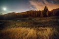 Moonlight and stars over forest