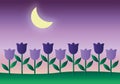 Moonlight on tulips