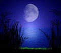 Moonlight on Water Royalty Free Stock Photo