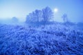 Moonlight winter misty night. Snow and frost on grass