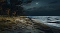 Moonlit Shore: A Darkly Romantic Landscape Shot