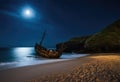 A moonlit beach with a shipwreck