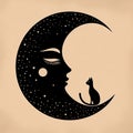 Moonlit Cat. Royalty Free Stock Photo