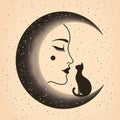 Moonlit Cat. Royalty Free Stock Photo