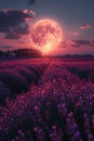 Moonlit lavender fields at dusk