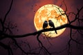 Moonlit love Silhouettes of birds perched under a romantic full moon Royalty Free Stock Photo