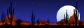 Moonlit night in the mexican desert Royalty Free Stock Photo