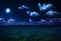 Moonlit night on nature Royalty Free Stock Photo