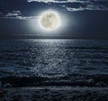 Moonlit Night over the Sea