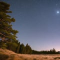 1260 Moonlit Night Sky: A serene and mesmerizing background featuring a moonlit night sky with stars, a crescent moon, and a dee