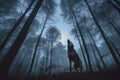 Moonlit Serenade: Wolves Howling in the Dark Forest