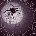 Moonlit Spider and Web Royalty Free Stock Photo