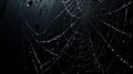 Moonlit Spider Web in a Dark Corner AI Generated Royalty Free Stock Photo