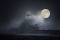 Moonlit stormy seascape Royalty Free Stock Photo