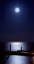 Moonlit Whitby Piers