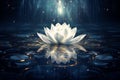Moonlit white lotus flower glowing on dark blue water background in the serene night setting Royalty Free Stock Photo