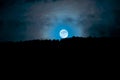 Moonrise above the trees, Camarda, Abruzzo, Italy Royalty Free Stock Photo