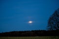 Moonrise over the forest Royalty Free Stock Photo