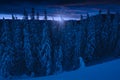 Moonrise over the majestic night spruce forest Royalty Free Stock Photo