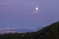 Moonrise over a treeline in the mountains