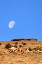 Moonrise Rugged and Desolate Landscape Petrified Forest Arizona