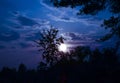 Moonrise in the sky with clouds on the outskirts of the forest