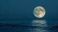 The moons reflection glistens on the calm surface of the ocean as if it holds secrets and powers beyond human