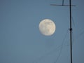 Moonscape in the morning from the yard.