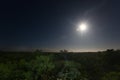 Moonset at selva Royalty Free Stock Photo
