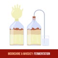 Moonshine and whiskey. Fermentation