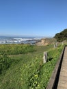 Coastal Boardwalk along Moonstone Beach Royalty Free Stock Photo