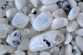 Moonstone Tumbled Stones