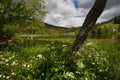 Moor lake Lac de Lispach the vosges mountains in france Royalty Free Stock Photo