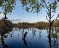 Moor lake landscape