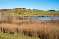 Moor lake riegsee with reed grass, bavarian landscape in autumn