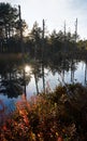 Moor lake at sundown, tranquil scenery with water reflection Royalty Free Stock Photo