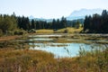 Moor lake tennsee in the bavarian alps