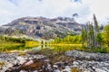 Moor Lakes on the Opabin Trail at Lake O`Hara in Yoho National Park