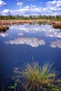 Moor landscape Royalty Free Stock Photo